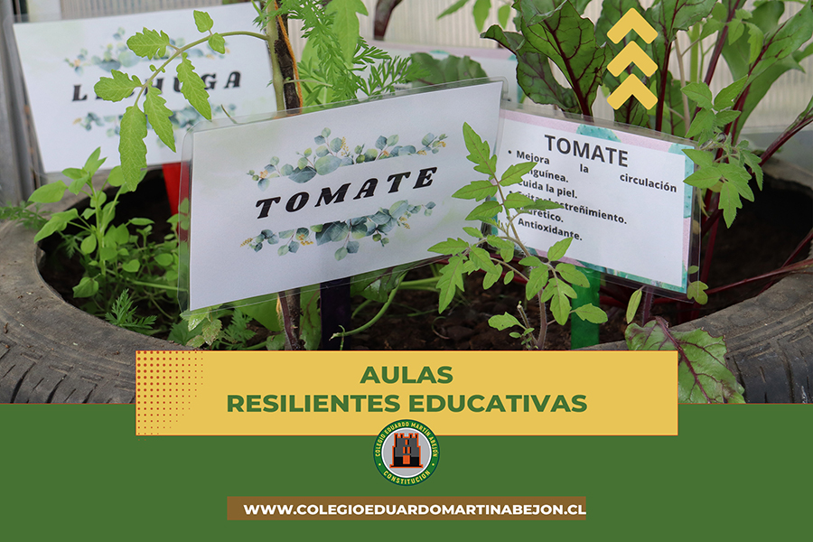 aulas resilientes cema 2023 min