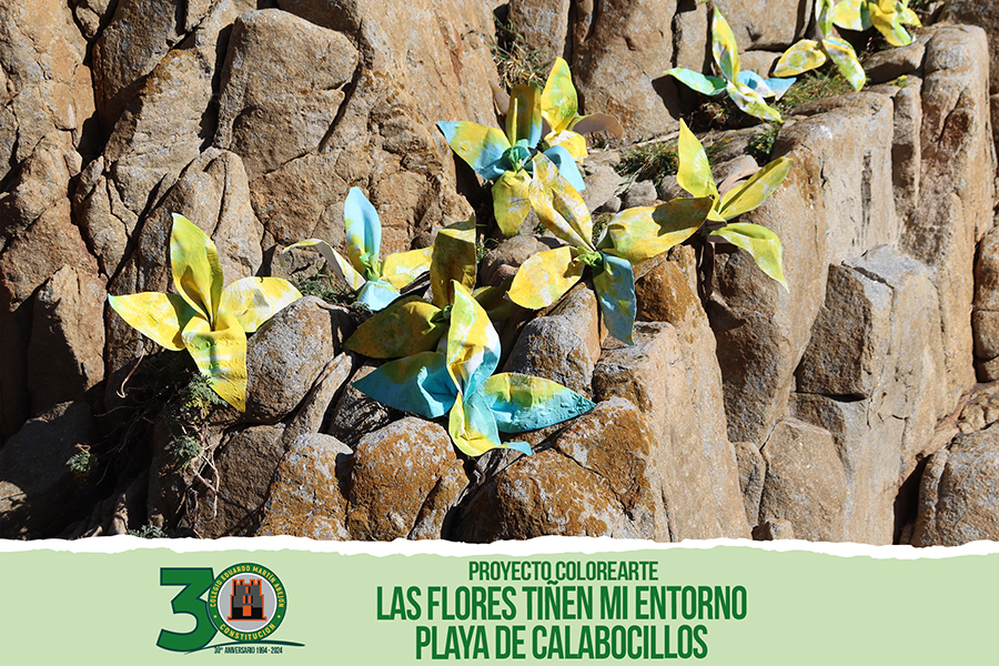 LAS FLORES TIÑEN MI ENTORNO PROYECTO N2 min 2024